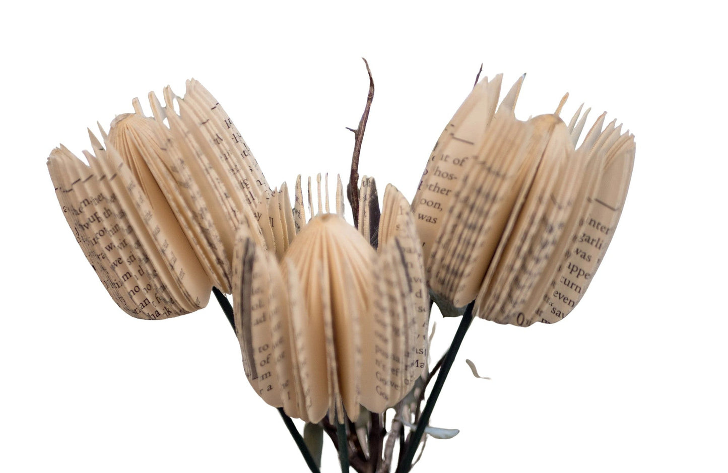 Book Flower Stems-Set of 3