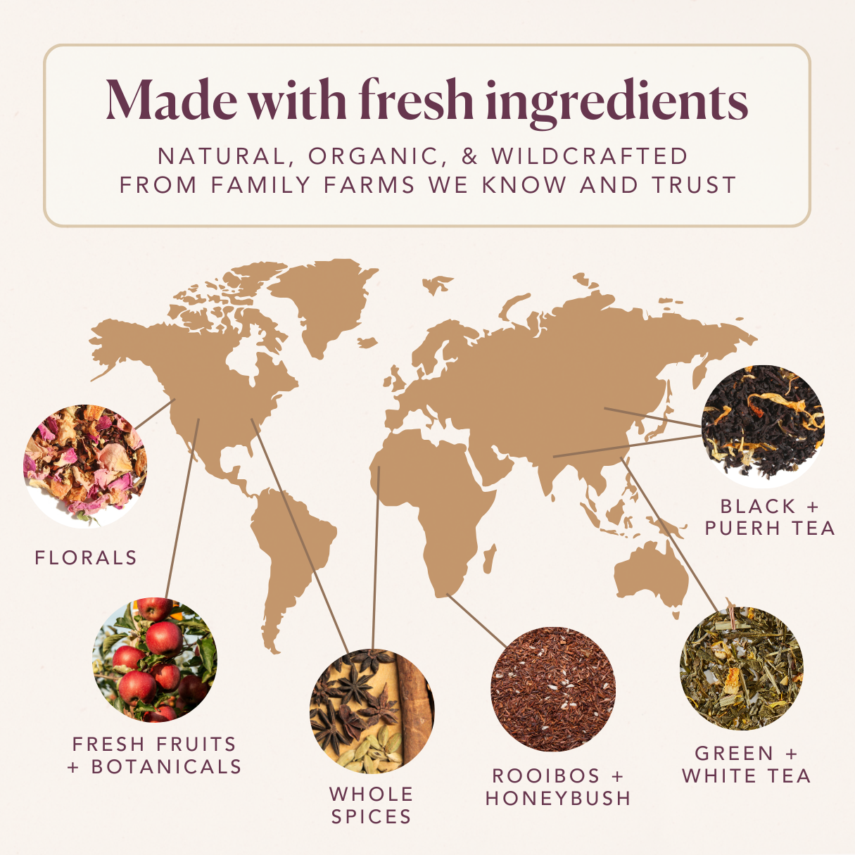 Vanilla Sugar Cookie Herbal Dessert Tea
