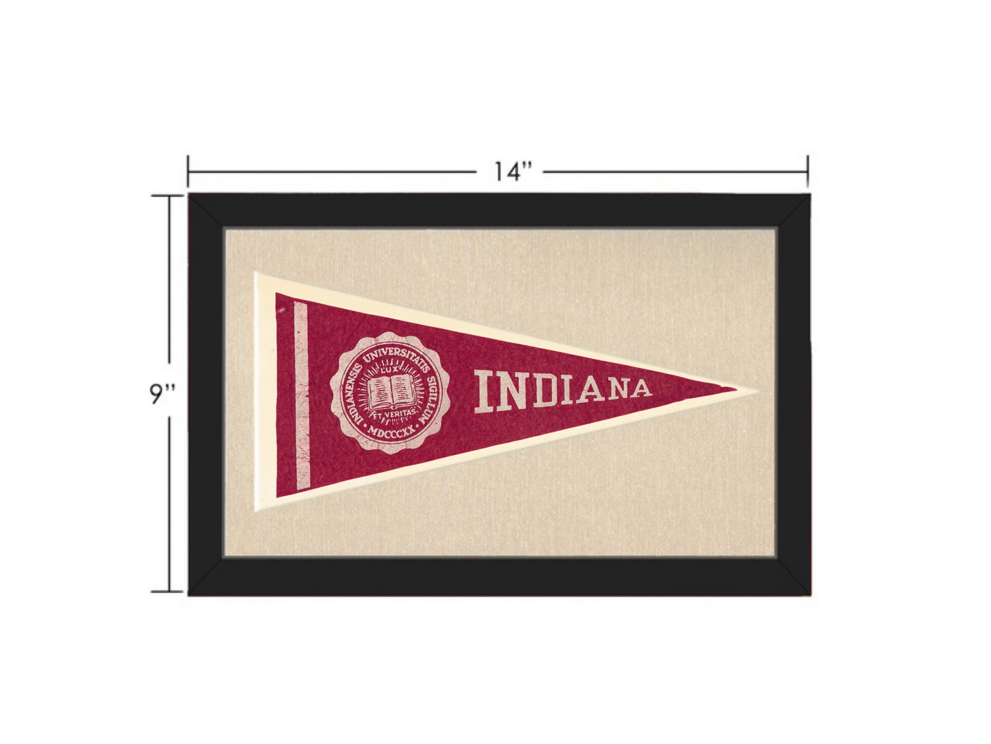 Vintage Indiana University Pennant