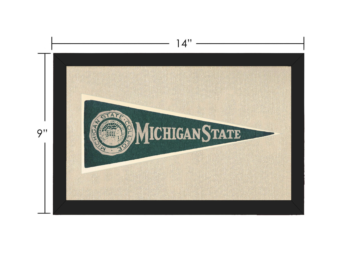 Vintage Michigan State Hormel Pennant
