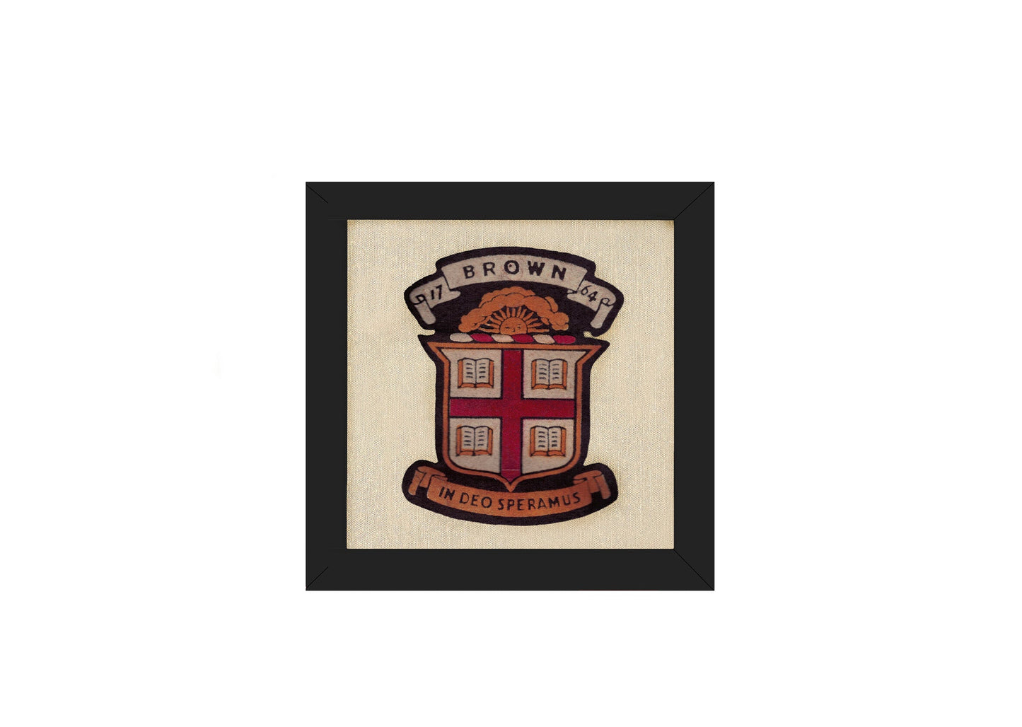 Vintage Brown University School Seal