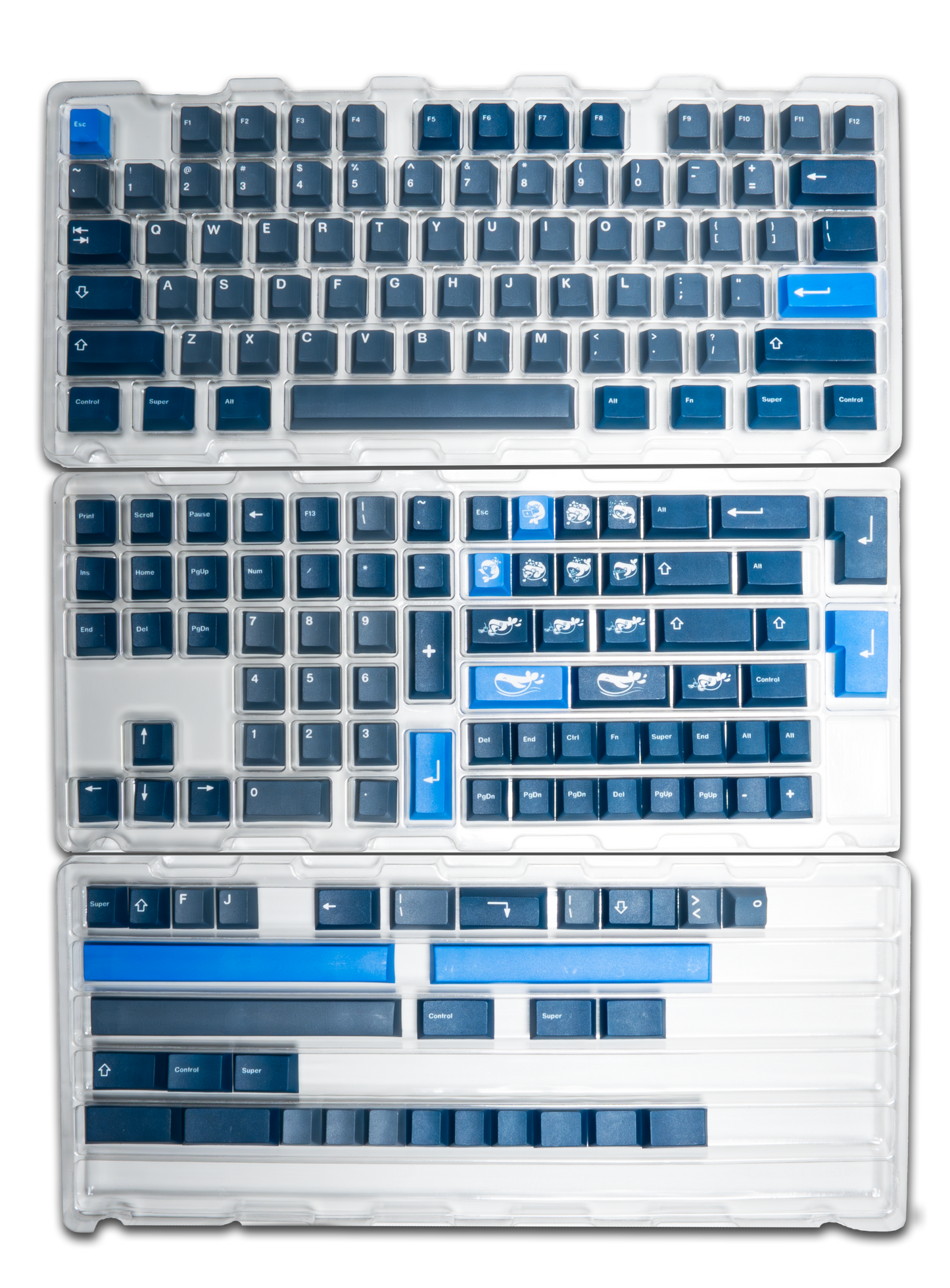 Whale PBT Keycaps V4